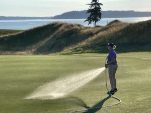 Heather Schapals watering a green during a morning at Chambers Bay.