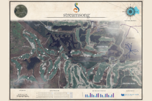 Streamsong fifth course routing